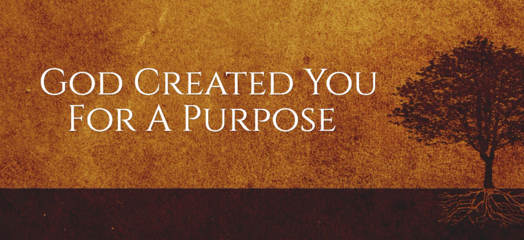 Godspurpose
